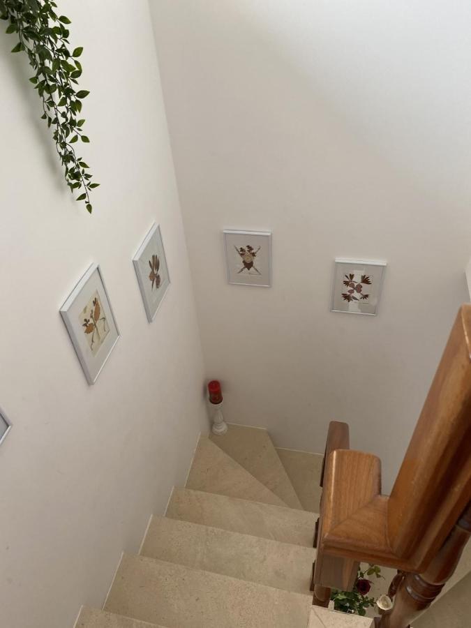 Casa Da Avo Fatima Appartement Góis Buitenkant foto